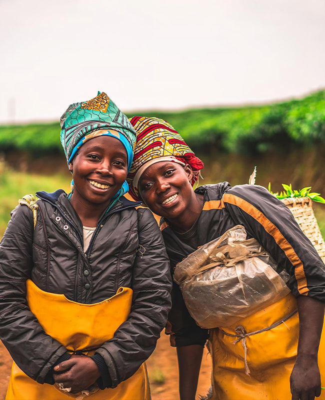 Asami offers farmer-direct organic tea – Asami Tea Shop