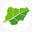 logo of Asami offers farmer-direct organic tea – Asami Tea Shop