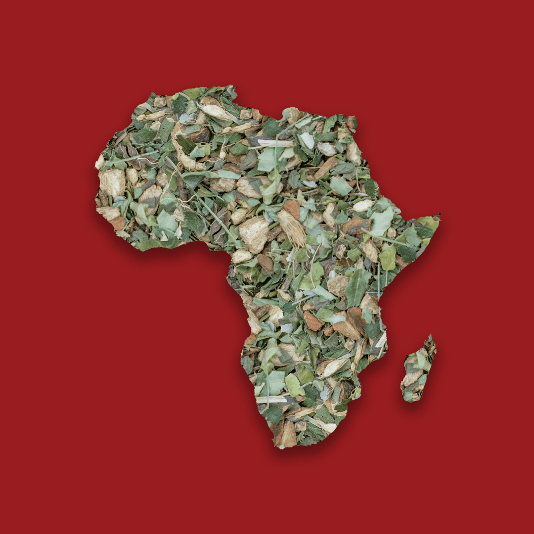 Moringa Lemon Ginger tea | Namibia Nights – Asami Tea Shop